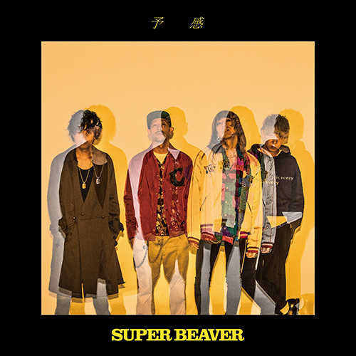 SUPER BEAVER